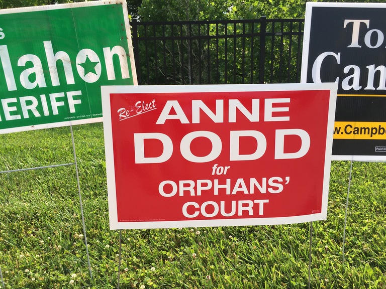 Anne Dodd small campaign sign, 2018 elections