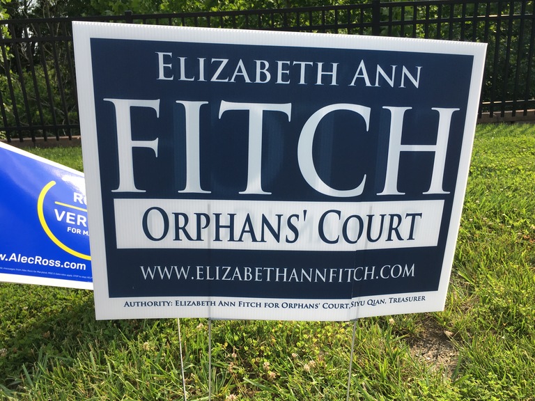 Elizabeth Ann Fitch small campaign sign, 2018 elections