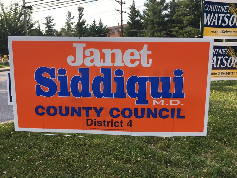 Janet Siddiqui small campaign sign, 2018 elections
