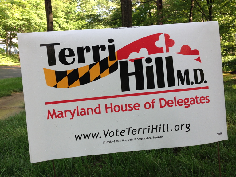 hill-delegate-12-2014-small